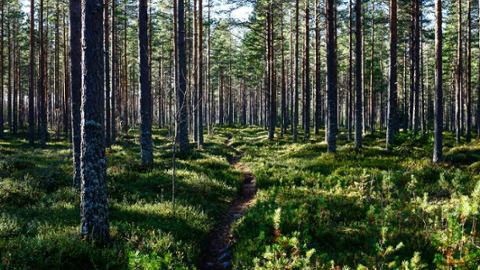 

		
			
			
			
			
			
			
			
			
			
			
			
			
			
			
				
				
				
				
			
			
			Central banks are going green to questionable avail while stirring risks